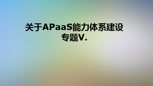 关于APaaS能力体系建设专题V.