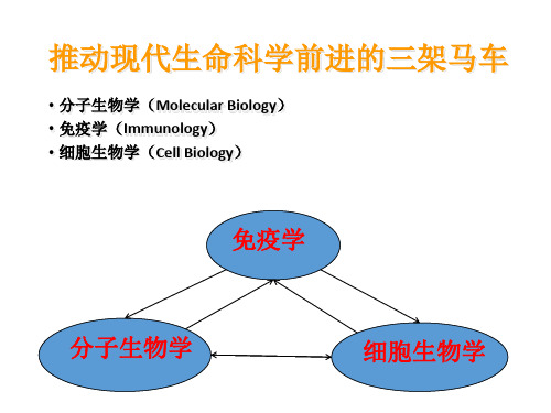 第一章 免疫学绪论_PPT幻灯片