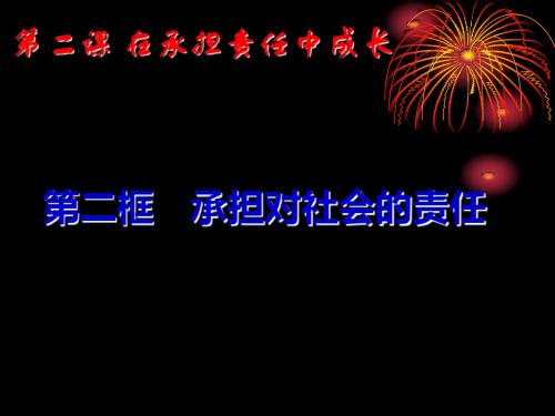 《承担对社会的责任》课件