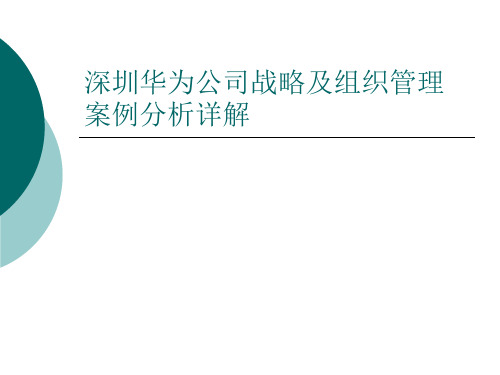 深圳华为公司战略及组织管理案例分析详解