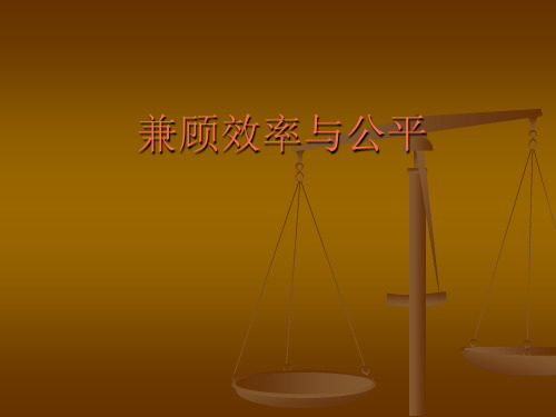 兼顾效率与公平PPT教学课件