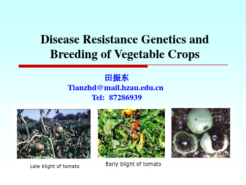 蔬菜育种学各论课件蔬菜抗病遗传与育种
