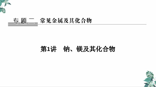 高考化学一轮复习PPT课件_钠、镁及其化合物教学PPT课件