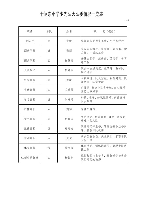 少先队大队委情况一览表