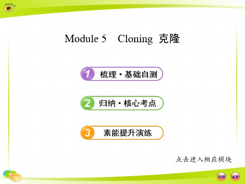 选修6--Module-5外研社高中英语单元知识点