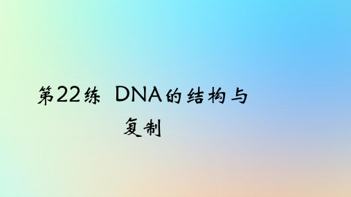 2025版高考生物一轮复习真题精练第六章遗传的分子基础第22练DNA的结构与复制课件