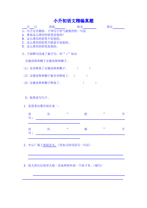 小升初语文精编真题
