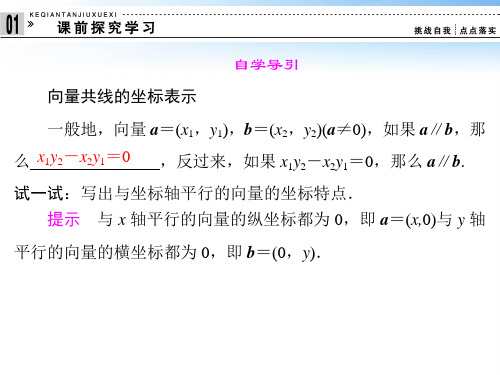 平面向量共线的基本表示