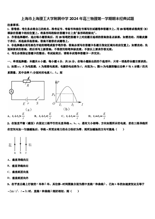 上海市上海理工大学附属中学2024年高三物理第一学期期末经典试题含解析