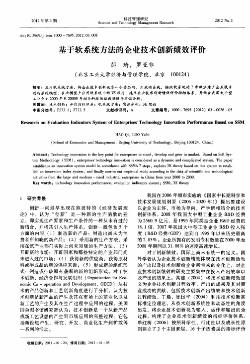 基于软系统方法的企业技术创新绩效评价