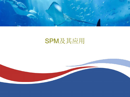 SPM及其应用共29页