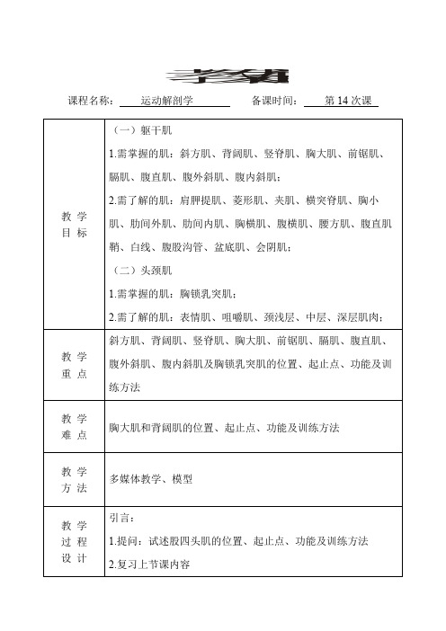 运动解剖学教案(第14次课)