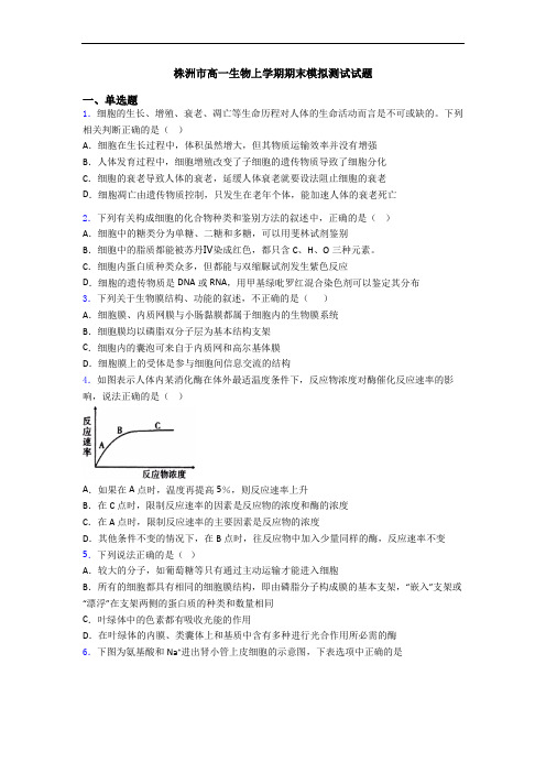 株洲市高一生物上学期期末模拟测试试题