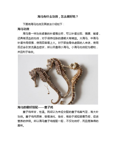 海马有什么功效，怎么做好吃？