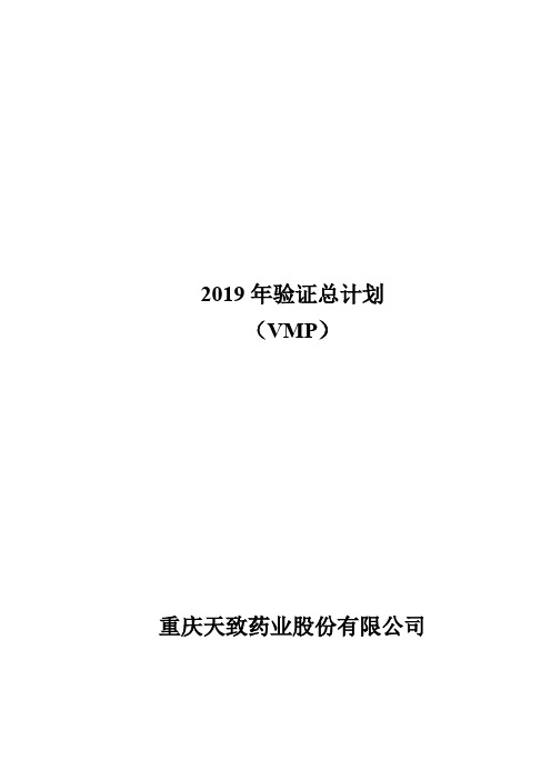 2019验证总计划