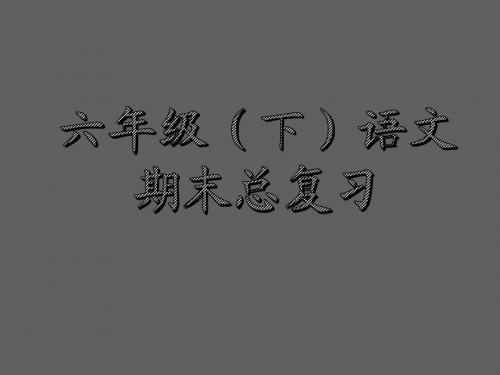 六年级下册语文期末总复习课件