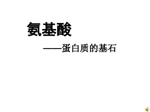 苏教版高中化学选修五 5.2.1氨基酸 课件 (共19张PPT)