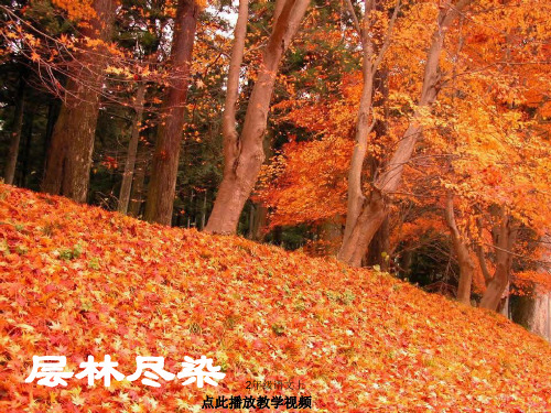 人教版二年级语文上册-《秋天的图画》ppt课件2