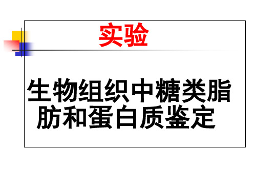 糖类、蛋白质、脂肪的鉴定