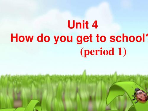 英语课件新目标八年级上Unit 4 How do you get to school 课件 9