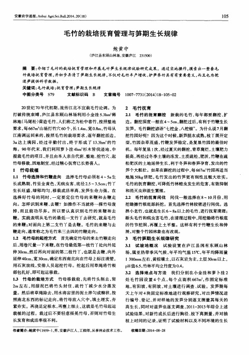 毛竹的栽培抚育管理与笋期生长规律