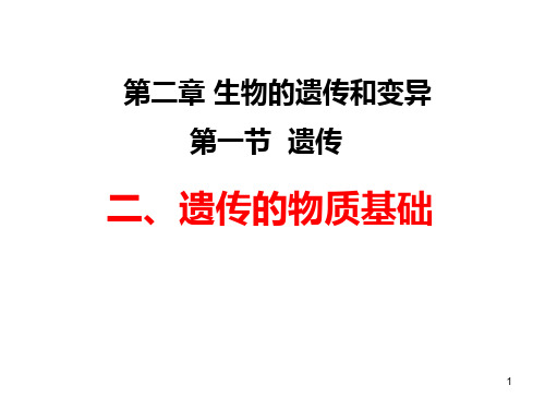 6-2-1遗传-遗传的物质基础(课件)冀少版八年级下册生物