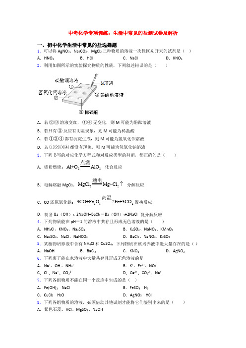 中考化学专项训练：生活中常见的盐测试卷及解析