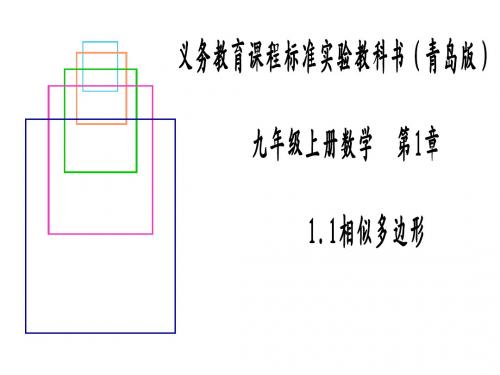 青岛版九年级上册数学帝1章1.1相似多边形说课(25张PPT)