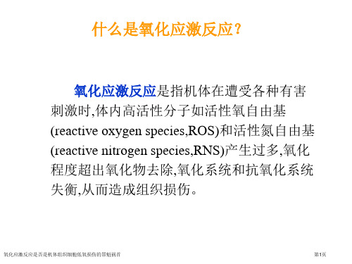 氧化应激反应是否是机体组织细胞低氧损伤的罪魁祸首