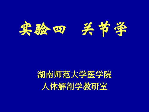 系统解剖学课件：关节学(2)