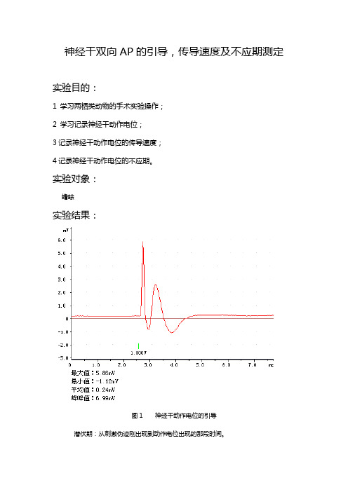 神经干双向AP的引导(1)