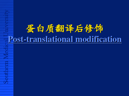 蛋白质翻译后修饰【病理生理学教研室】 ppt课件