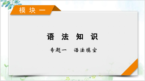 模块专题语法填空考法高考英语二轮复习课件2