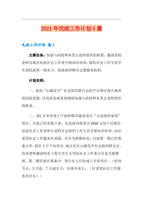 2021年民政工作计划5篇