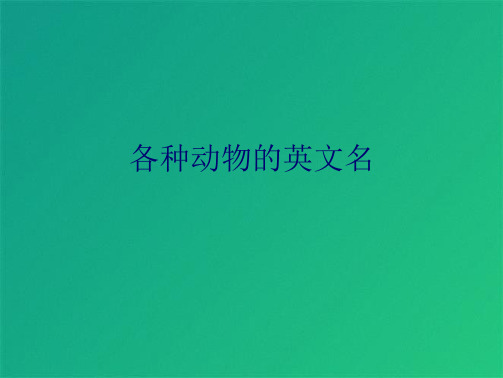 各种动物的英文名(共6张PPT)