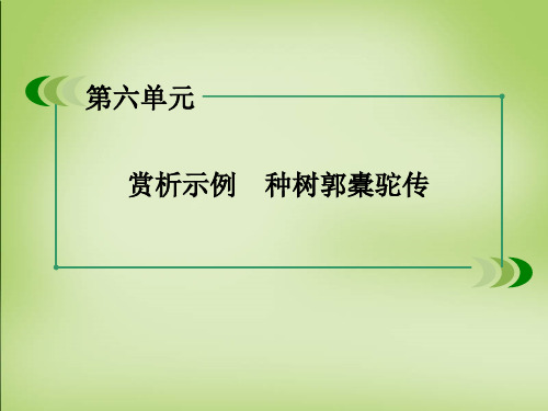 高中语文古诗文选修 第六单元种树郭橐驼传巩固练习