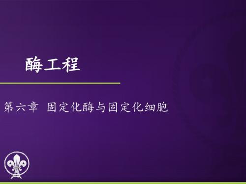 2011酶工程 第六章 固定化酶与固定化细胞