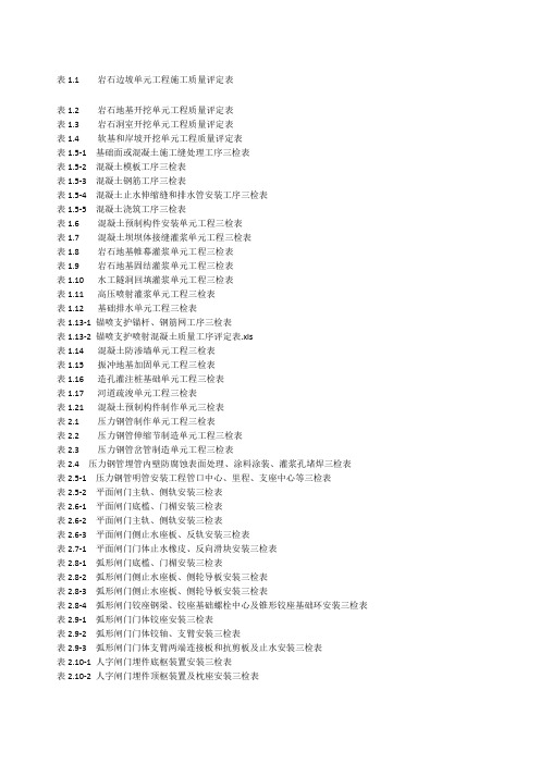 水利水电三检表最新(全)