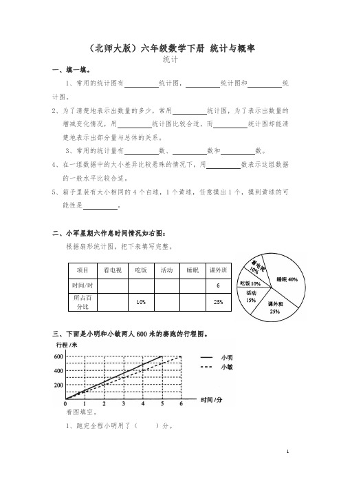 【精品】北师大版六年级下册《统计与概率——统计》练习题