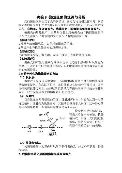 偏振现象的观测与分析