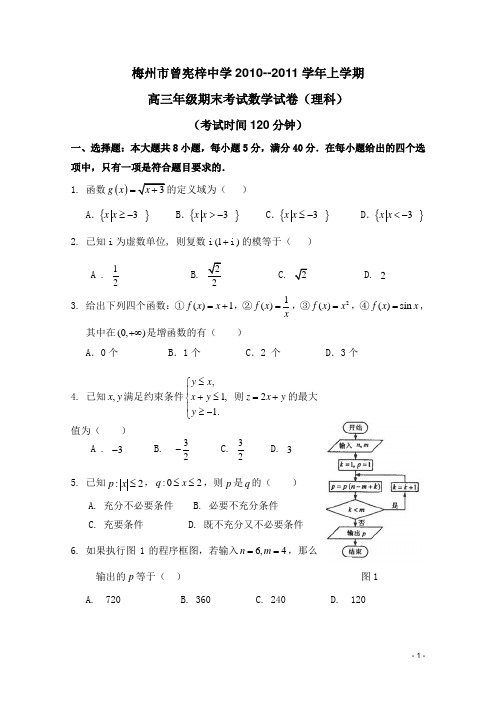 广东省梅州市曾宪梓中学2011届高三上学期期末考试(数学理)