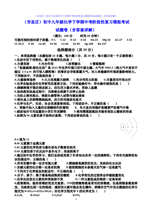 (市县区)初中九年级化学下学期中考阶段性复习模拟考试试题卷(含答案详解)