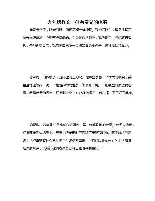 九年级作文一件有意义的小事