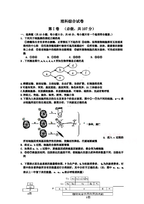 山东省滕州市第一中学2015届高三期末模拟考试理科综合试卷word版含答案