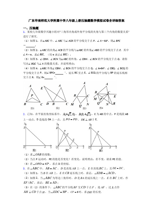 广东华南师范大学附属中学八年级上册压轴题数学模拟试卷含详细答案