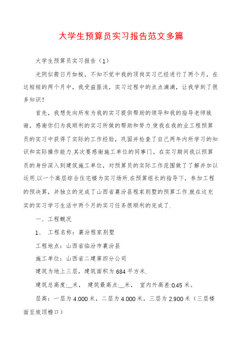 大学生预算员实习报告范文多篇