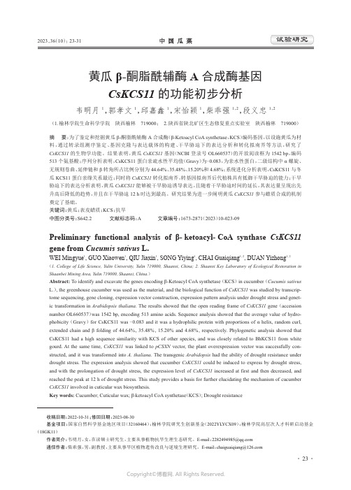 黄瓜β-酮脂酰辅酶A_合成酶基因CsKCS11_的功能初步分析