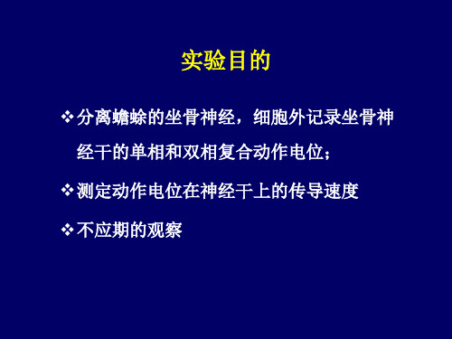 神经干动作电位、传导速度以及不应期的测定