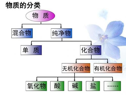 电解质和非电解质PPT课件