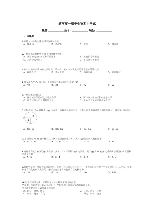 湖南高一高中生物期中考试带答案解析
